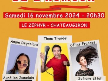 Les dernières places pour La Grande Nuit de l'Humour à Châteaugiron ! 2h de fous rires 🤣 Prenez-les vite:...